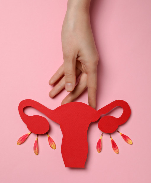 What is ectopia and erosion of the cervix?