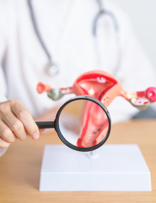 Technique of hysteroscopy