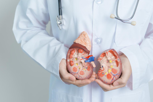 Преимущества лечения мочекаменной болезни в медицинском центре «К+31»