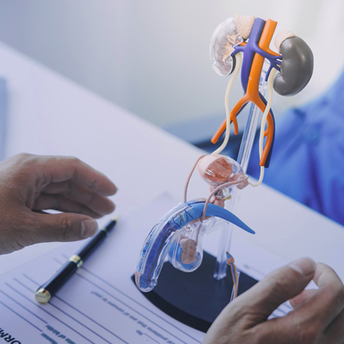 How does LOD therapy work?