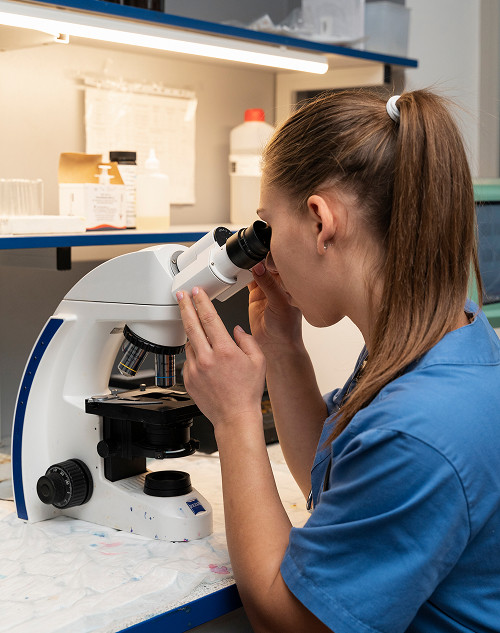 Life expectancy for stomach cancer patients