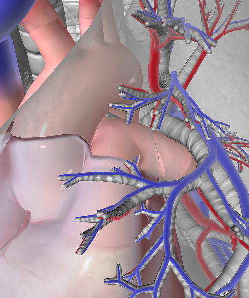 Причины и факторы риска