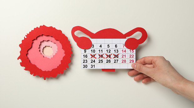 On what day of the cycle is a mammary gland ultrasound performed?