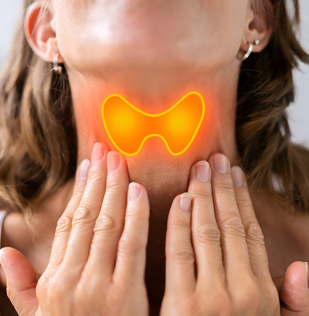 Где находятся миндалины и что происходит при болезни