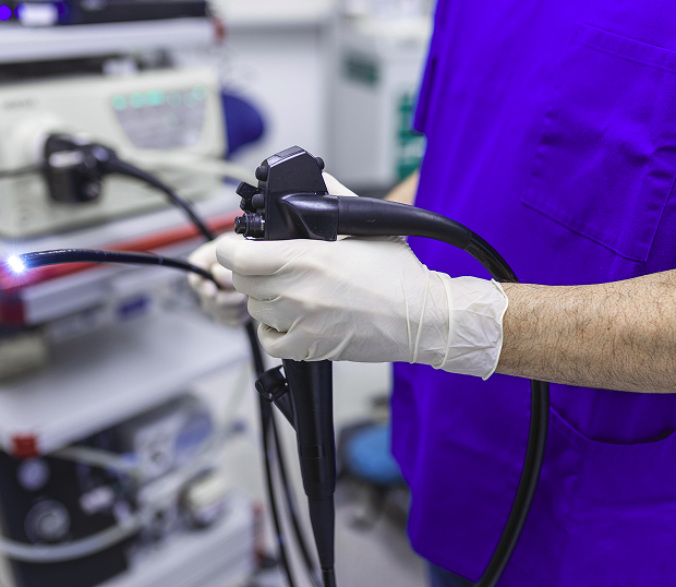 Esophageal endoscopy: areas of Barrett's esophagus