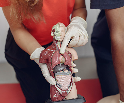 Методики эндоваскулярной хирургии