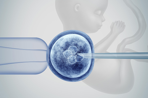 Как происходит перенос эмбриона