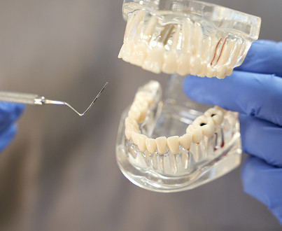 Что такое адентия