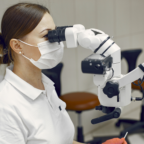 What structures does the doctor examine?