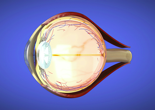 What does gonioscopy reveal?