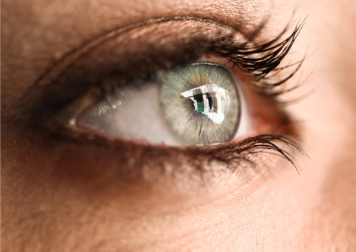 What types of contact lenses do we select?