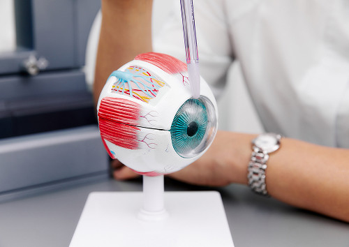 Eye Prosthetics after Enucleation