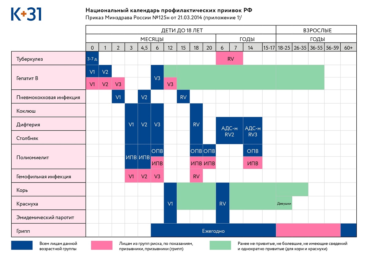 Прививочный календарь 2024