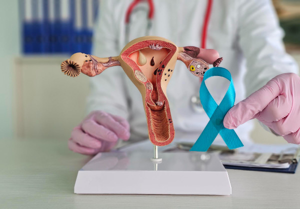 General information about the pathology