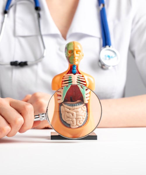 General definition and information