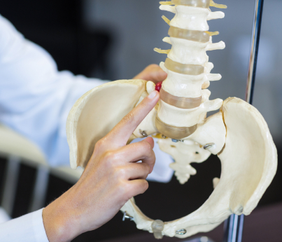 spine, doctor, examination