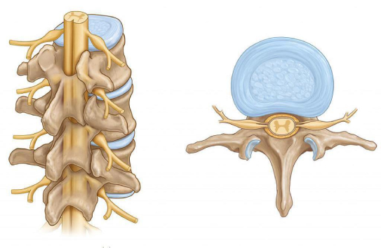 diagnostic procedures